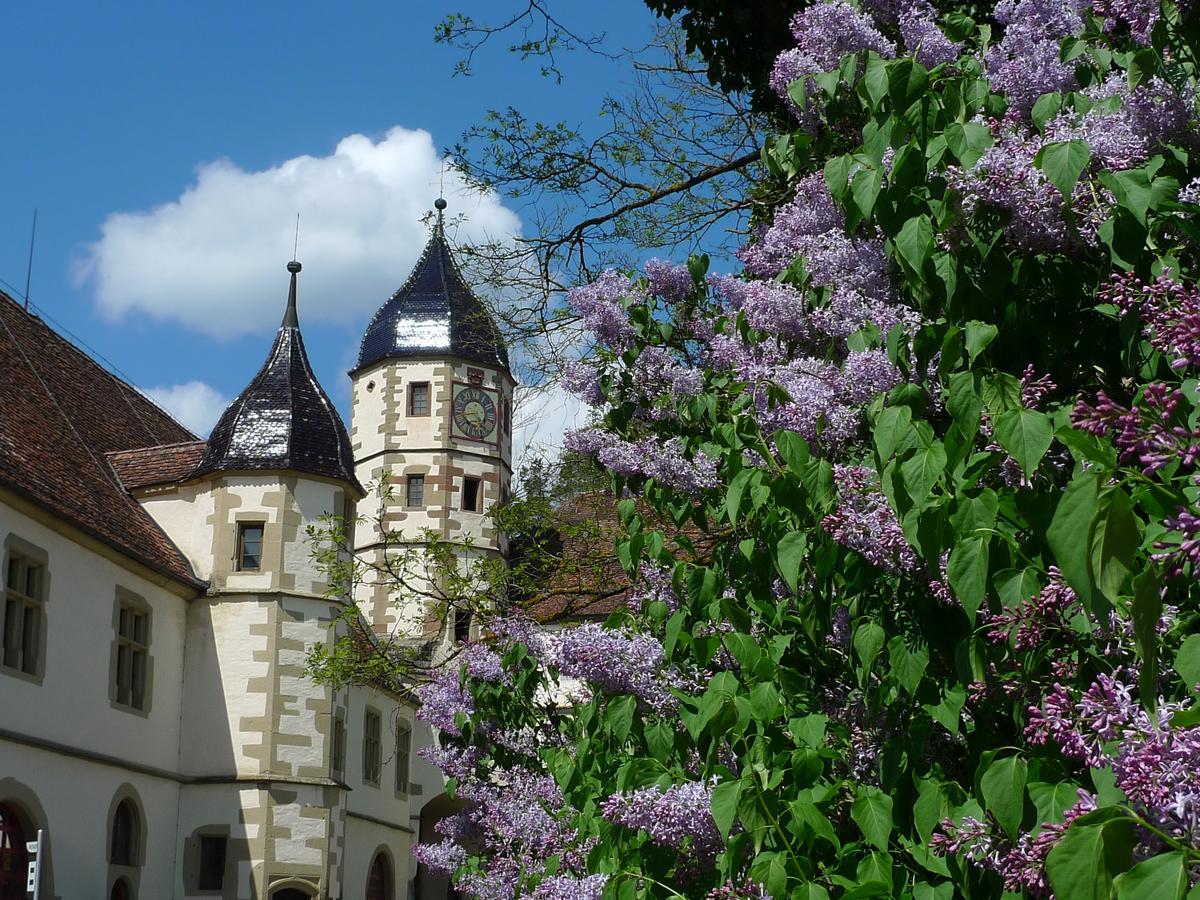 Schloss Haigerloch Ngoại thất bức ảnh