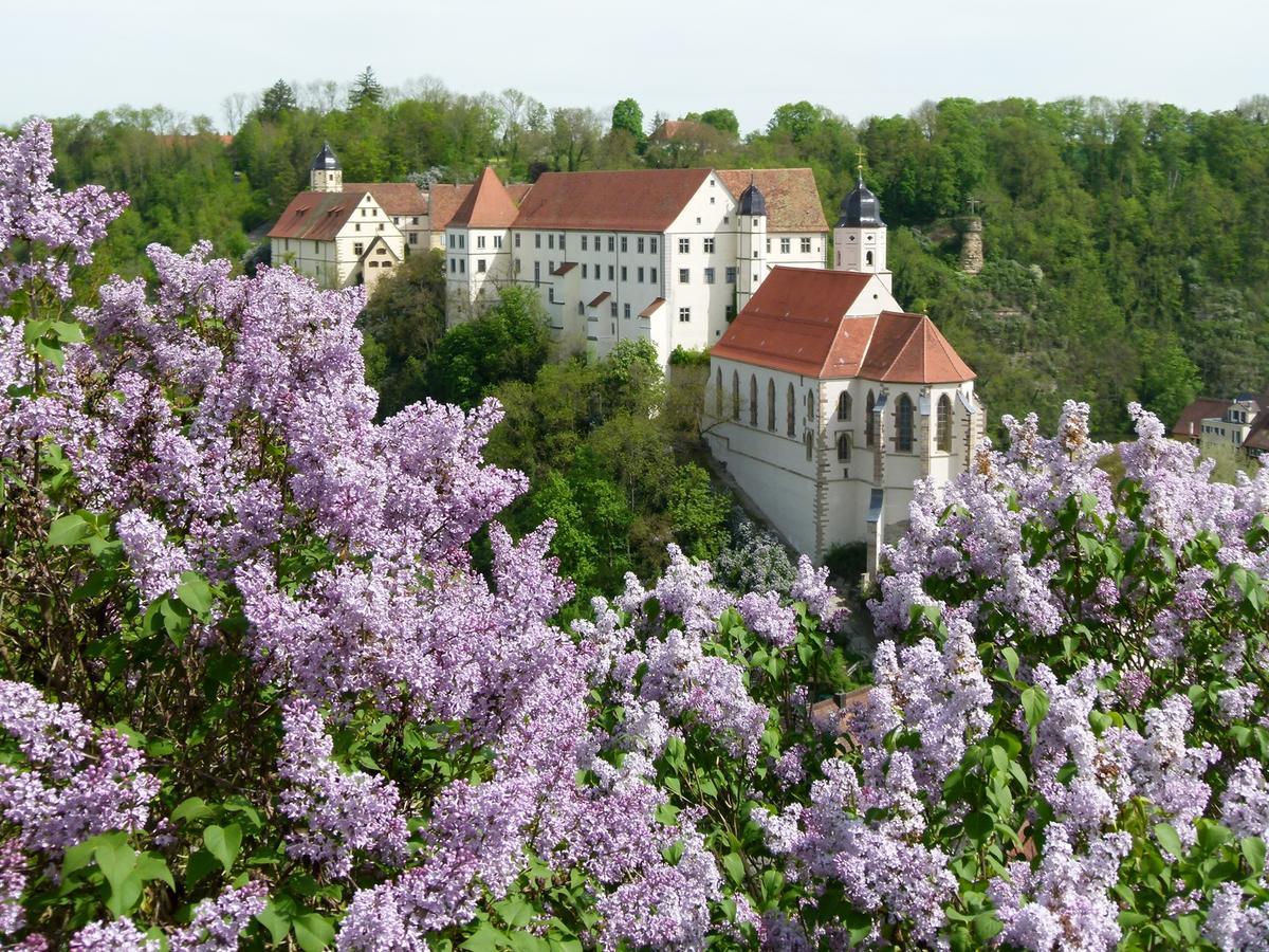 Schloss Haigerloch Ngoại thất bức ảnh